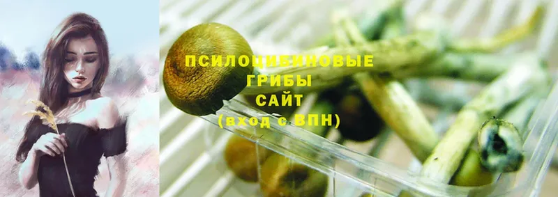 Галлюциногенные грибы Magic Shrooms  Грайворон 